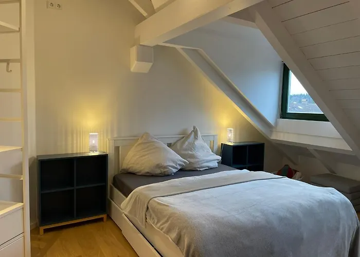 Апартаменты Gemuetliches Loft *